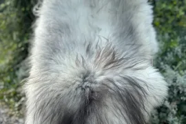 Melerade Sheepskins, High Quality