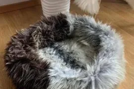 Natural Sheepskin Cat beds 50cm, 70cm, Premium