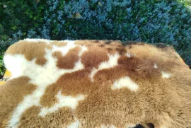 Premium Dutch Sheepskins