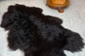 Polish sheepskins, highest quality