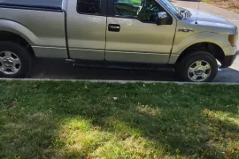 Pick-up Ford F-150 XLT 