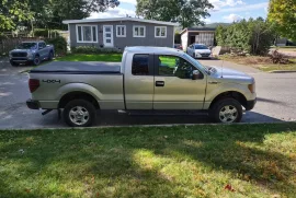 Pick-up Ford F-150 XLT 